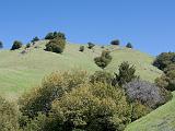 Mt Tamalpais SP 04